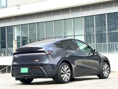 Tesla Model Y Rear-Wheel Drive - ფოტო 8