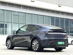 Tesla Model Y Rear-Wheel Drive - ფოტო 9