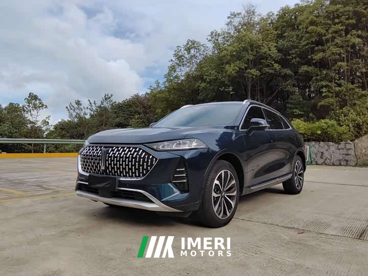 Great Wall Wei Brand Mocha 2021 2.0T Two-Wheel Drive Rich Edition - ავტომობილი ჩინეთიდან