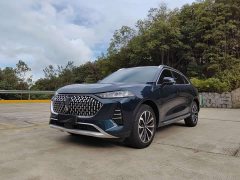 Great Wall Wei Brand Mocha 2021 2.0T Two-Wheel Drive Rich Edition - ფოტო 1