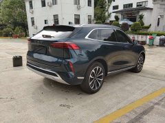 Great Wall Wei Brand Mocha 2021 2.0T Two-Wheel Drive Rich Edition - ფოტო 16