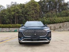 Great Wall Wei Brand Mocha 2021 2.0T Two-Wheel Drive Rich Edition - ფოტო 2