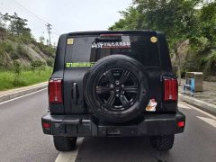 Tank 300 2021 Off-Road Edition 2.0T Conqueror - ფოტო 6