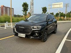 Haval H6 National Trend Edition 1.5T Automatic Urban Version - ფოტო 1