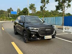 Haval H6 National Trend Edition 1.5T Automatic Urban Version - ფოტო 2