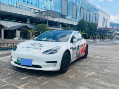Tesla Model 3 Standard Range RWD Upgrade 3D6 - ფოტო 1