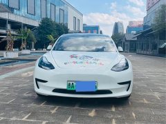 Tesla Model 3 Standard Range RWD Upgrade 3D6 - ფოტო 2