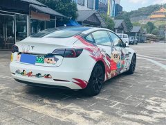 Tesla Model 3 Standard Range RWD Upgrade 3D6 - ფოტო 3