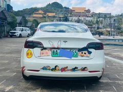 Tesla Model 3 Standard Range RWD Upgrade 3D6 - ფოტო 4