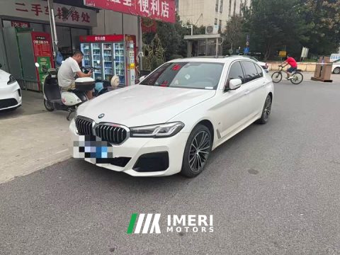 2021 BMW 5 Series 530Li Premier M Sport Package - ავტომობილი ჩინეთიდან