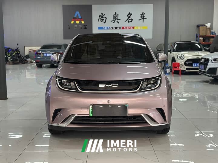BYD Dolphin 420km Fashion Edition - ავტომობილი ჩინეთიდან
