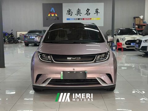 2023 BYD Dolphin 420km Fashion Edition - ავტომობილი ჩინეთიდან