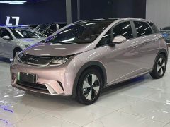 BYD Dolphin 420km Fashion Edition - ფოტო 2