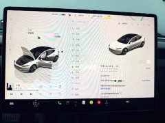 Tesla Model 3 Long Range All-Wheel Drive - ფოტო 4