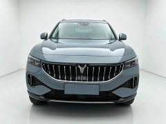 Voyah Lantu FREE Four-Wheel Drive Standard Extended Range Exclusive Luxury Package - ფოტო 2