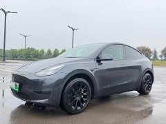 Tesla Model Y Rear-Wheel Drive Launch Edition - ფოტო 2