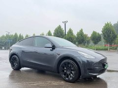 Tesla Model Y Rear-Wheel Drive Launch Edition - ფოტო 3
