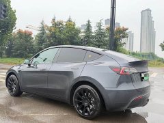 Tesla Model Y Rear-Wheel Drive Launch Edition - ფოტო 9