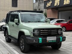 Tank 300 Urban Edition 2.0T I-Look - ფოტო 2