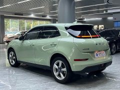 ORA Good Cat 2025 430km Deluxe Edition - ფოტო 14