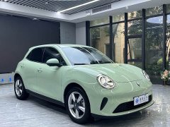ORA Good Cat 2025 430km Deluxe Edition - ფოტო 4