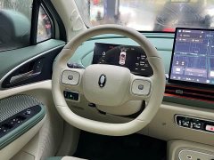 ORA Good Cat 2025 430km Deluxe Edition - ფოტო 6