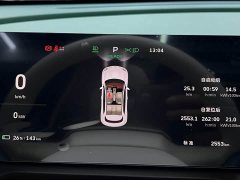 ORA Good Cat 2025 430km Deluxe Edition - ფოტო 7