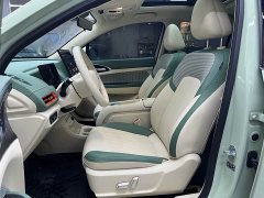 ORA Good Cat 2025 430km Deluxe Edition - ფოტო 8