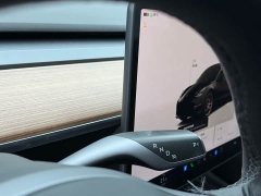 Tesla Model 3 Performance All-Wheel Drive - ფოტო 8