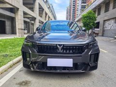 Voyah Lantu FREE 318 318km RWD World Tour Edition - ფოტო 2