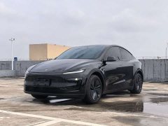 Tesla Model Y Rear-Wheel Drive - ფოტო 1