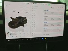 Tesla Model Y Rear-Wheel Drive - ფოტო 13