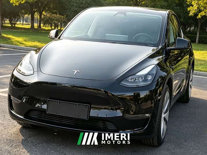 Tesla Model Y 2021 Standard Range RWD - ავტომობილი ჩინეთიდან