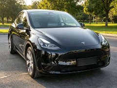 Tesla Model Y 2021 Standard Range RWD - ფოტო 3