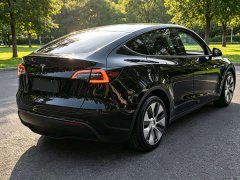 Tesla Model Y 2021 Standard Range RWD - ფოტო 4