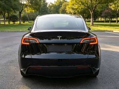 Tesla Model Y 2021 Standard Range RWD - ფოტო 5