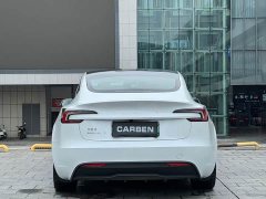Tesla Model 3 Rear-Wheel Drive - ფოტო 8