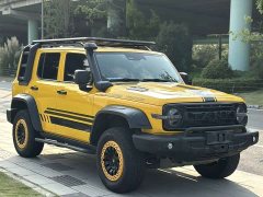 Tank 300 2.0T Frontier Limited Edition - ფოტო 2