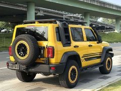 Tank 300 2.0T Frontier Limited Edition - ფოტო 3