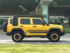 Tank 300 2.0T Frontier Limited Edition - ფოტო 5