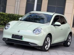 ORA Good Cat 401km Standard Range Luxury LFP - ფოტო 1