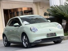 ORA Good Cat 401km Standard Range Luxury LFP - ფოტო 3
