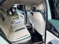 ORA Good Cat 401km Standard Range Luxury LFP - ფოტო 4
