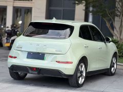 ORA Good Cat 401km Standard Range Luxury LFP - ფოტო 7
