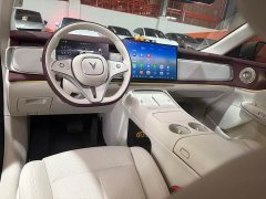Voyah Lantu Zhiyin Rear-Wheel Drive Qiankun Edition - ფოტო 6