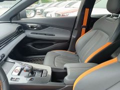 Trumpchi Leopard 270T DCT J16 R-style Track Edition - ფოტო 6