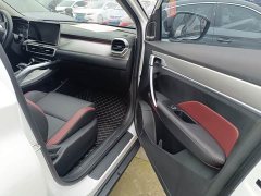 Geely Bingyue 1.4T DCT Platinum Edition - ფოტო 12