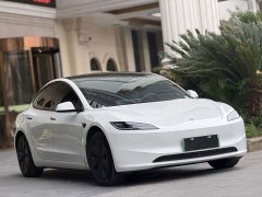 Tesla Model 3 2023 Rear-Wheel Drive - ფოტო 3