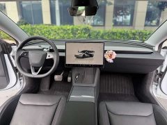 Tesla Model 3 2023 Rear-Wheel Drive - ფოტო 4