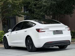 Tesla Model 3 2023 Rear-Wheel Drive - ფოტო 8